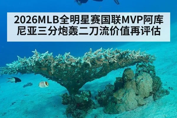 2026MLB全明星赛国联MVP阿库尼亚三分炮轰二刀流价值再评估